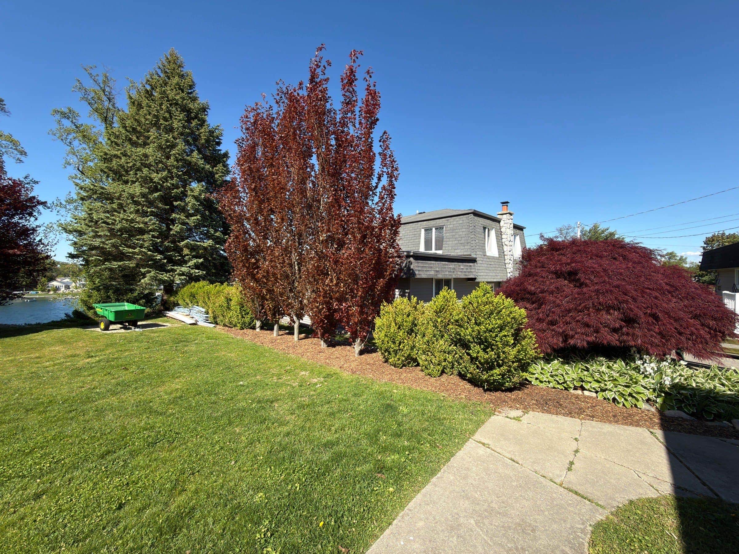 Ornamental maple trees and mixed plantings at a Southwest Michigan property